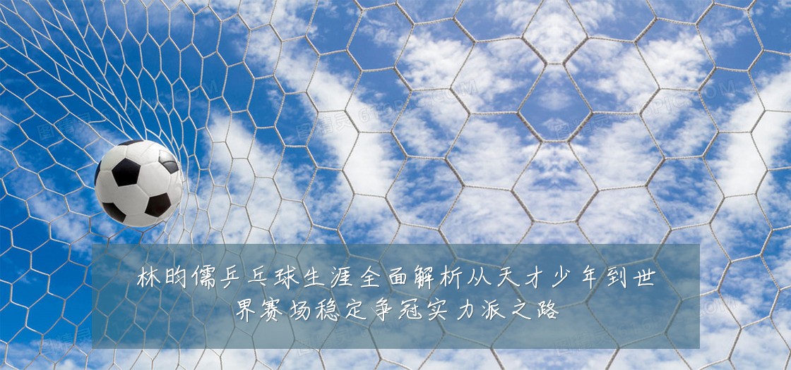 林昀儒乒乓球生涯全面解析从天才少年到世界赛场稳定争冠实力派之路
